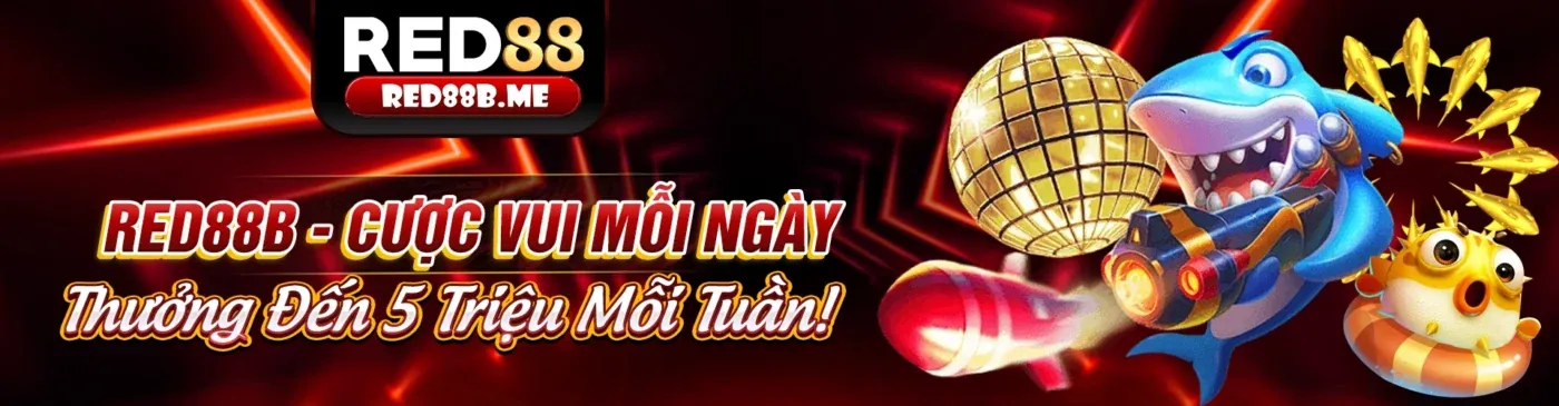 Khuyến mãi K8VN link vào năm 2026 với các ưu đãi độc quyền
